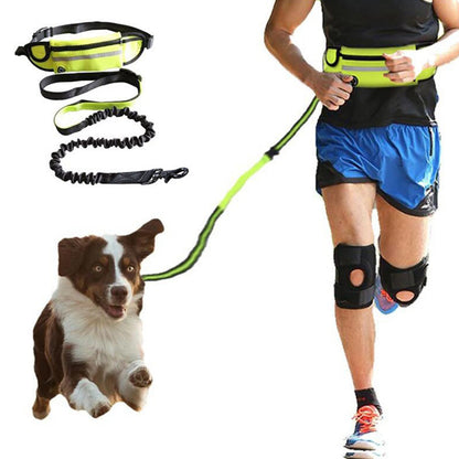 Hands Free Dog Leash Pet Walking And Training Belt With Shock