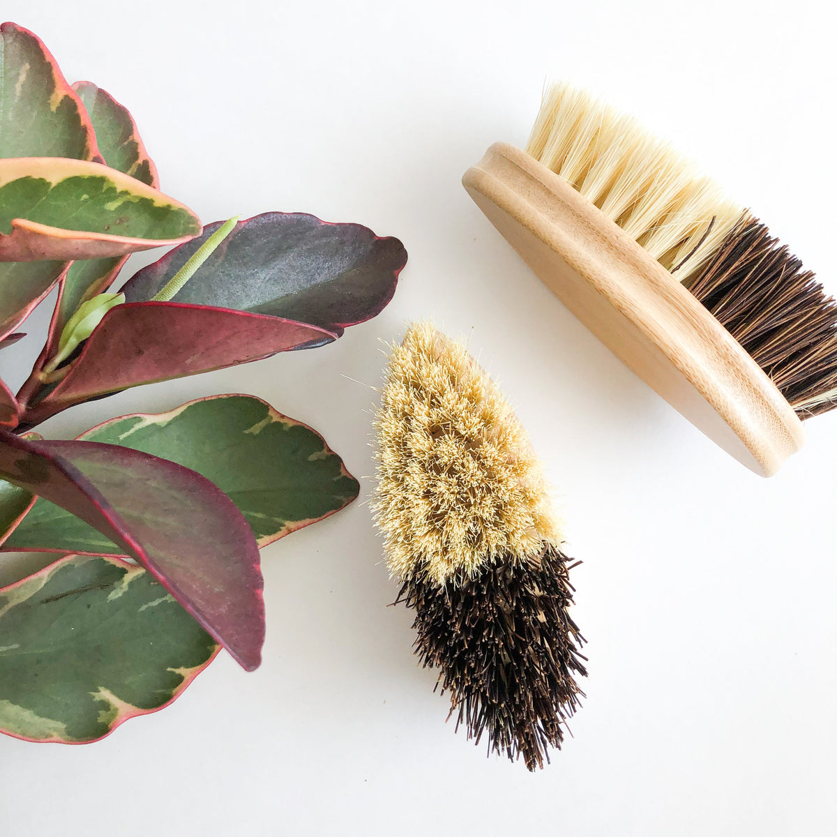 Bamboo Sisal/Palm Fiber Vegetable Brush-Zero Waste Natural Kitchen