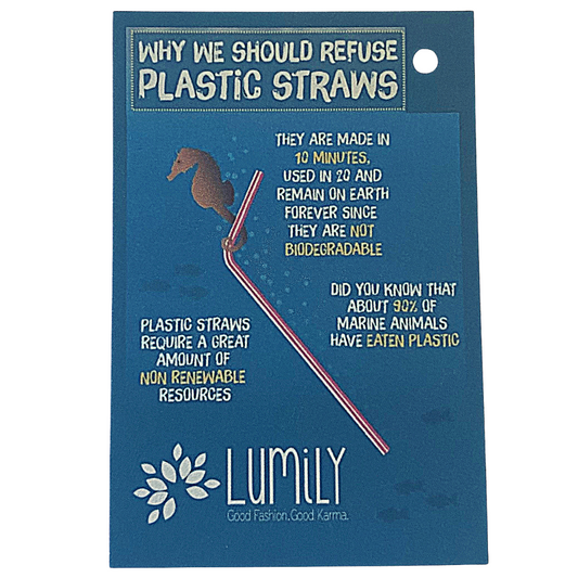 Stainless Steel Reusable Straw