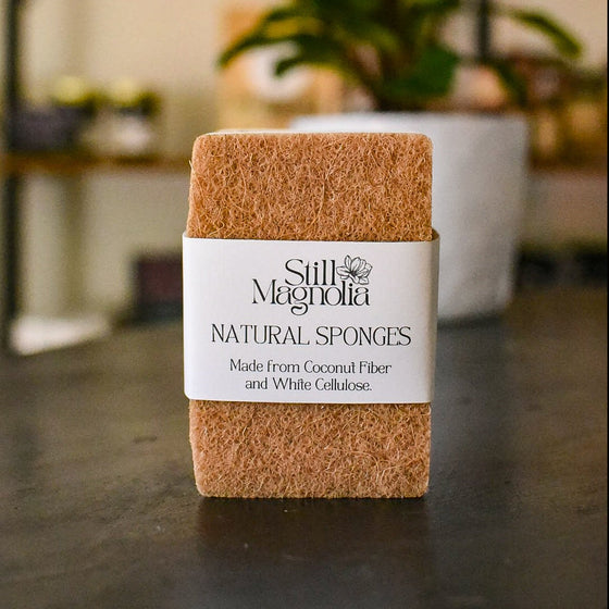 All natural compostable sponges, set of 3