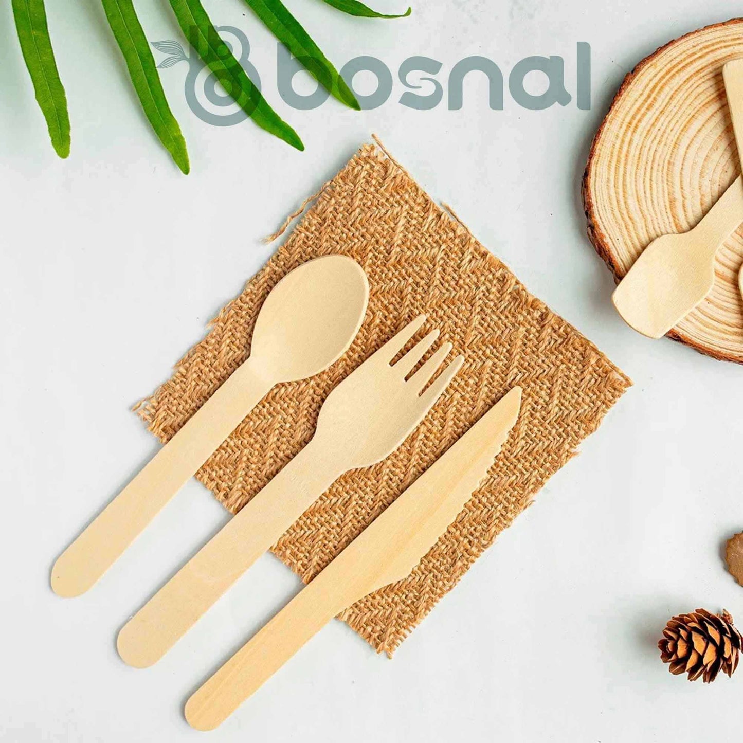 Sugarcane Bagasse Compostable Plates 10 and 7 Inch with Cutlery