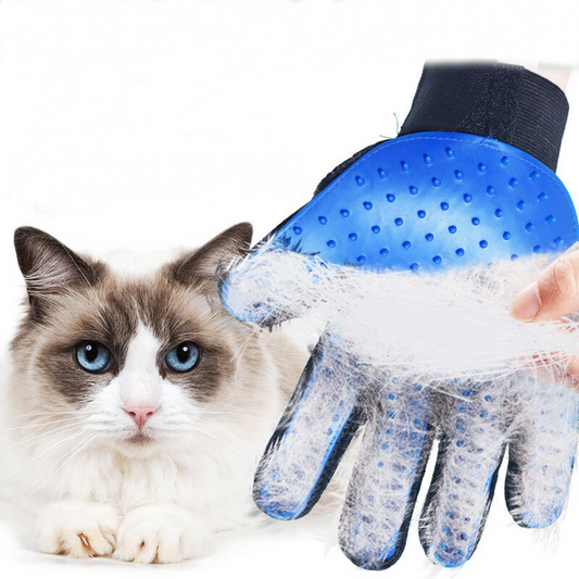 Blue pet grooming glove removing loose fur from a cat